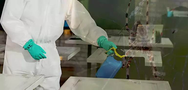 Why Buyers Still Want Homes With Pest Infestations in Georgia, GA?