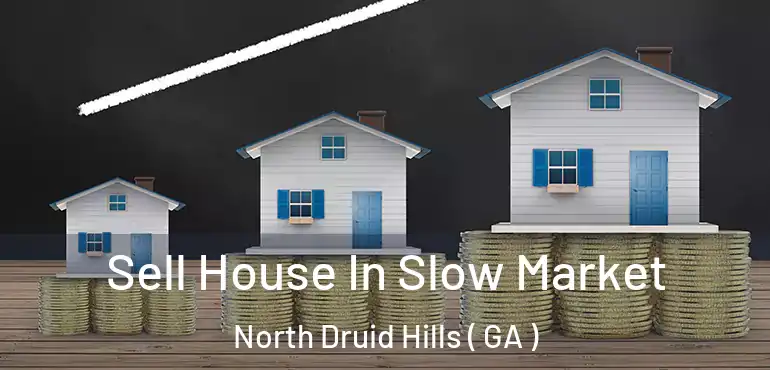  Sell House In Slow Market North Druid Hills ( GA )