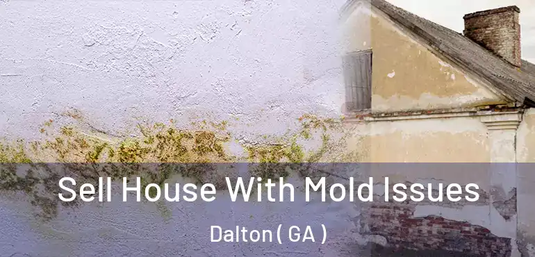  Sell House With Mold Issues Dalton ( GA )
