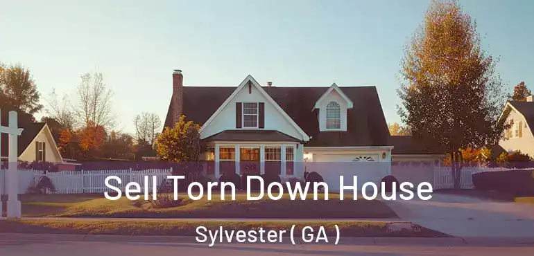  Sell Torn Down House Sylvester ( GA )